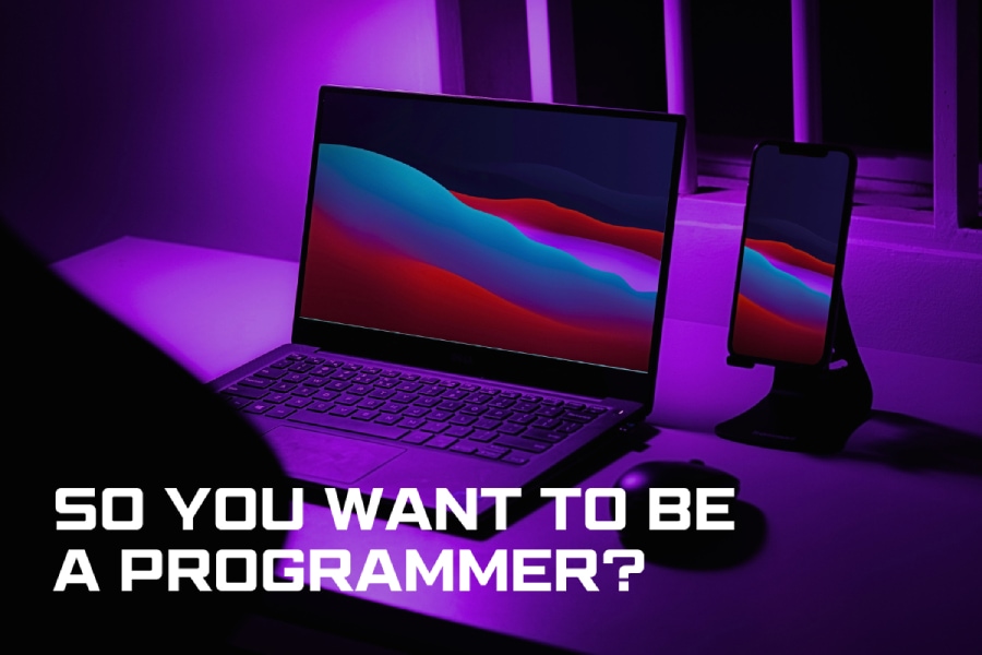 So you want to be a programmer?